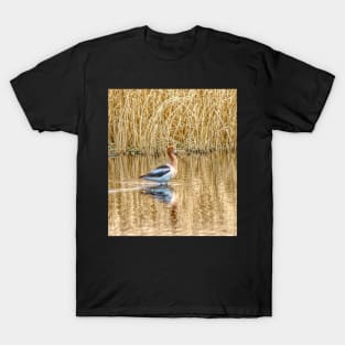 Migrating American Avocets T-Shirt